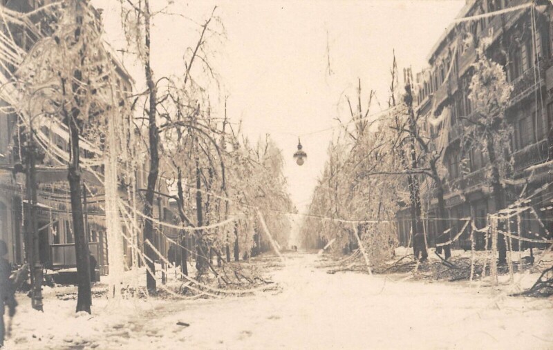 Carte postale ancienne Narbonne - Carte Photo - Situee Verglas Decembre 1920 à Narbonne
