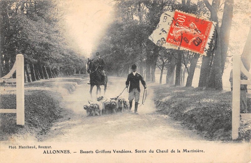 Carte postale ancienne Allonnes - Bassets Griffons Vendeens - Sortie Du Chenil De La Martiniere à Allonnes
