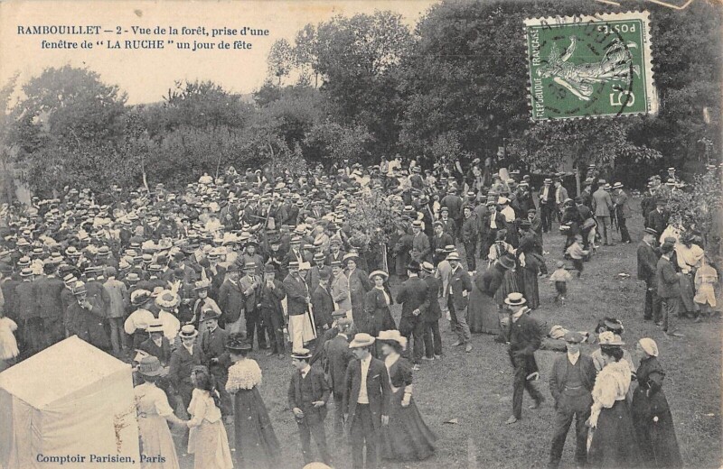 Carte postale ancienne Rambouillet - Vue De La Foret Prise D'Une Fenetre De La Ruche Un Jour De à Rambouillet
