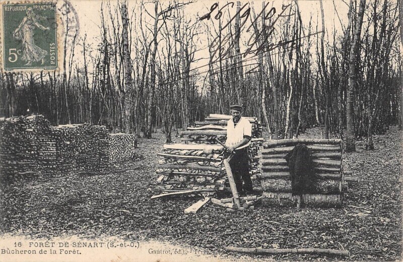 Carte postale ancienne Foret De Senart - Bucheron De La Foret
