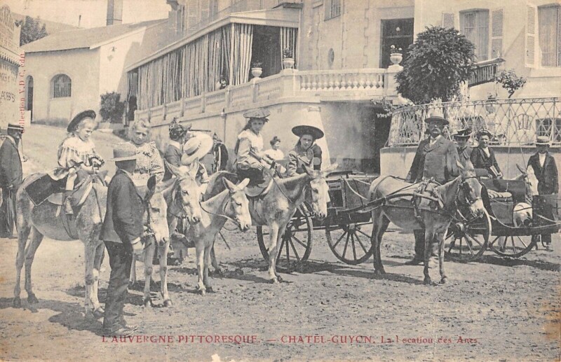 Carte postale ancienne Chatel Guyon / La Location Des Anes