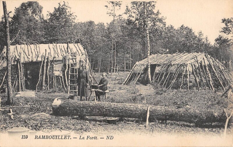 Carte postale ancienne Rambouillet - La Foret à Rambouillet