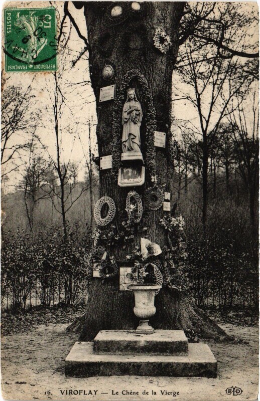 Carte postale ancienne Le Chêne de la Vierge à Viroflay