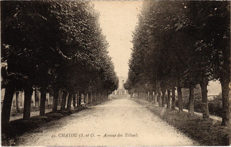 Carte postale ancienne Chatou Avenue des Tilleuls à Chatou