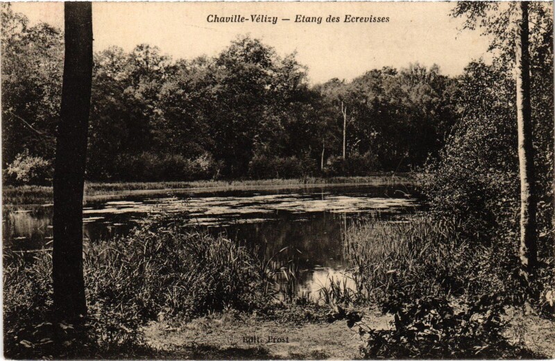 Carte postale ancienne Viroflay Chaville - Velizy - Etang des Ecrevisses à Viroflay
