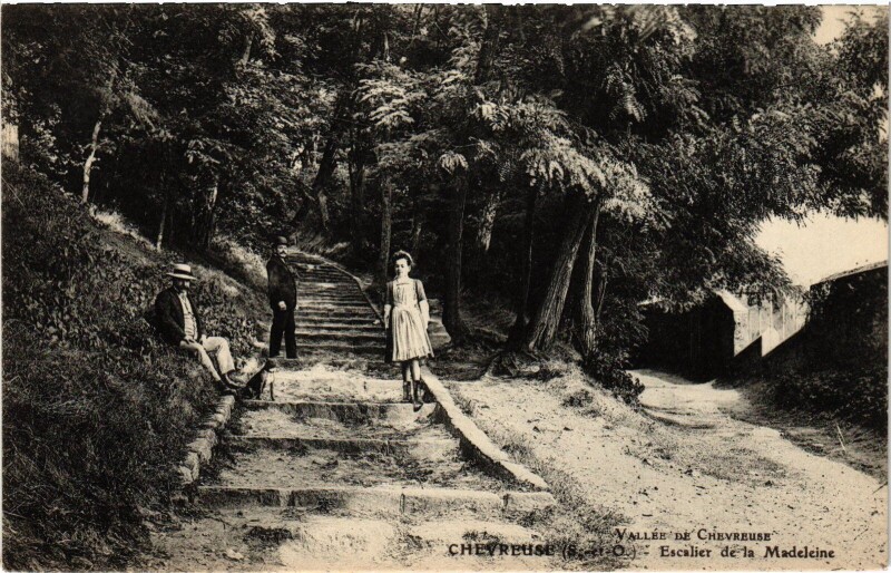 Carte postale ancienne Chevreuse Escalier de la Madeleine à Chevreuse