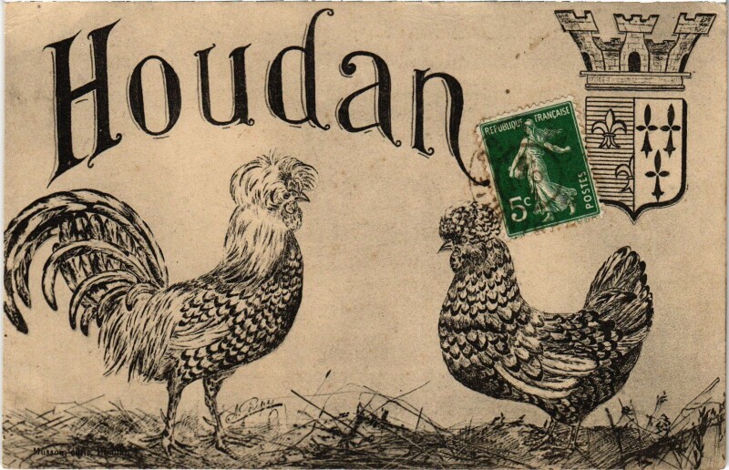 Carte postale ancienne Houdan Crest - Roosters à Houdan