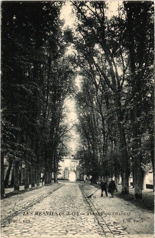 Carte postale ancienne Les Mesnuls Avenue du Chateau aux Mesnuls