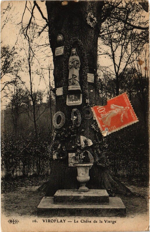 Carte postale ancienne Le Chêne de la Vierge à Viroflay