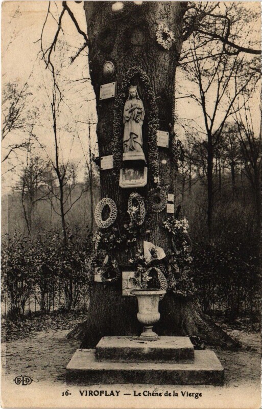 Carte postale ancienne Le Chêne de la Vierge à Viroflay