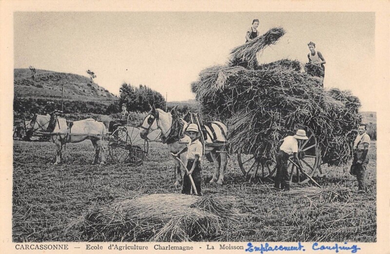 Carte postale ancienne Carcassonne - Ecole D'Agriculture Charlemagne - La Moisson à Carcassonne