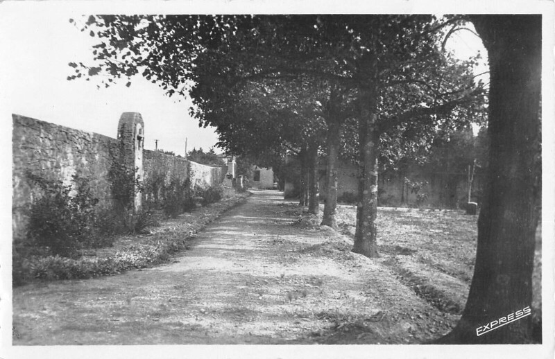 Carte postale ancienne Azille - Monastere Sainte Claire - Allee Des Tilleuls - cliché rare à Azille