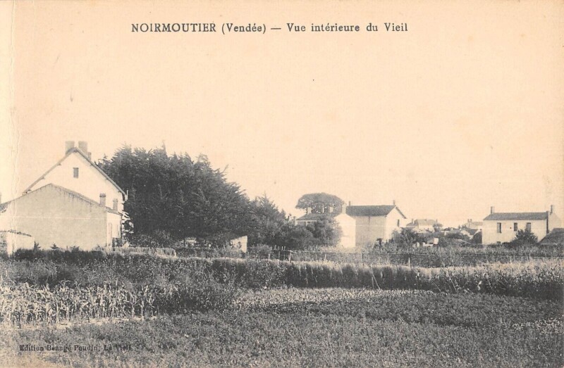 Carte postale ancienne Noirmoutier - Vue Interieure Du Vieil