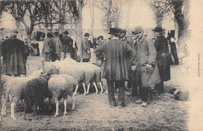 Carte postale ancienne Mirebeau En Poitou / Le Champ De Foire à Mirebeau
