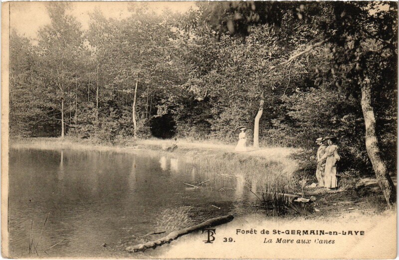 Carte postale ancienne St Germain en Laye La Mare aux Canes