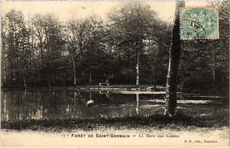 Carte postale ancienne St Germain en Laye La Mare aux Canes