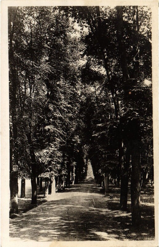 Carte postale ancienne Mantes Promenade de l'Ile aux Dames