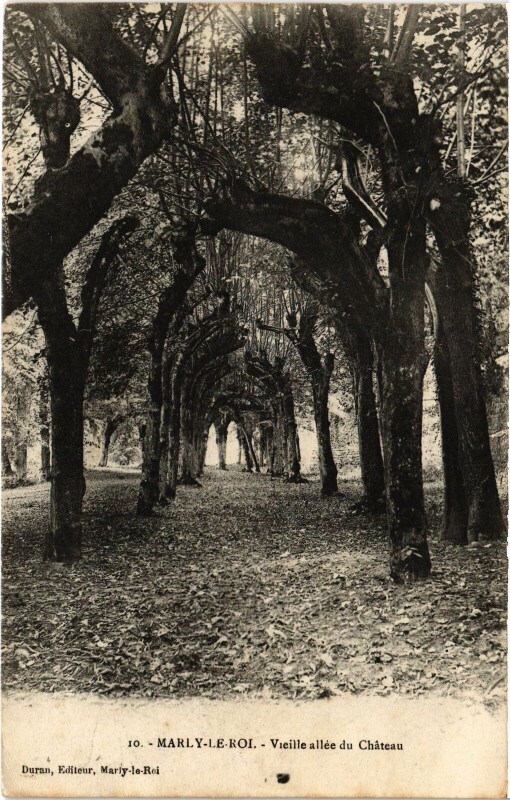 Carte postale ancienne Marly Vieille allee du Chateau