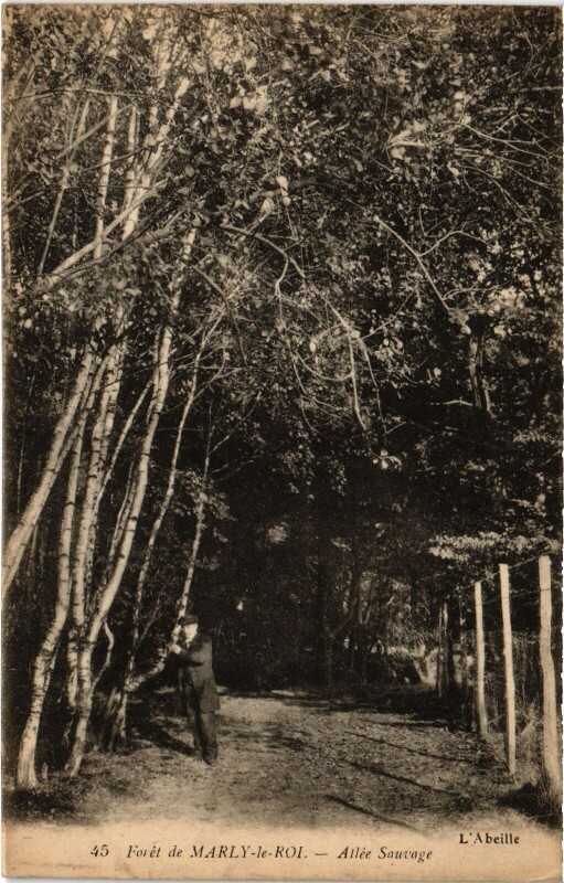 Carte postale ancienne Marly Allee Sauvage
