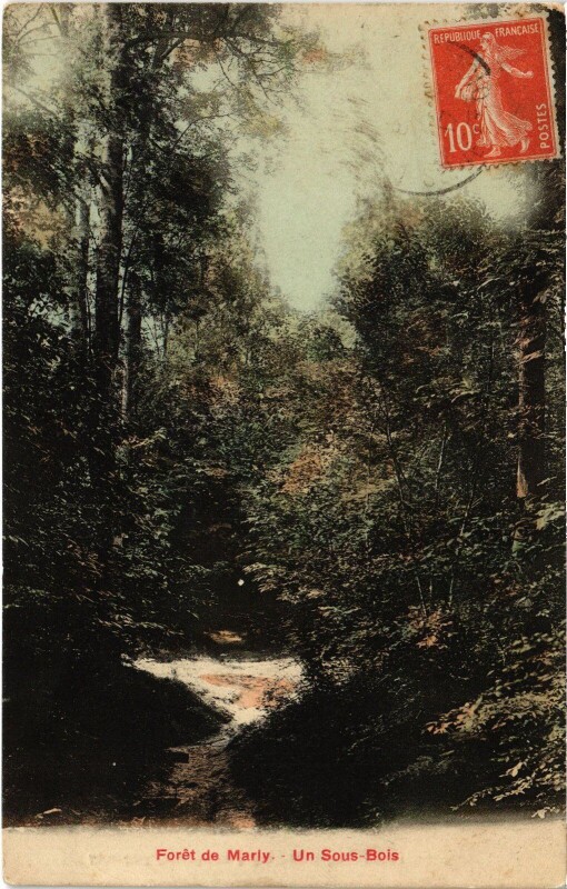 Carte postale ancienne Marly Un Sous Bois