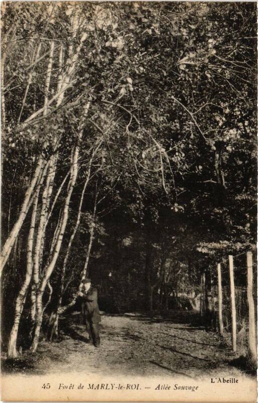 Carte postale ancienne Marly La Foret Allee Sauvage