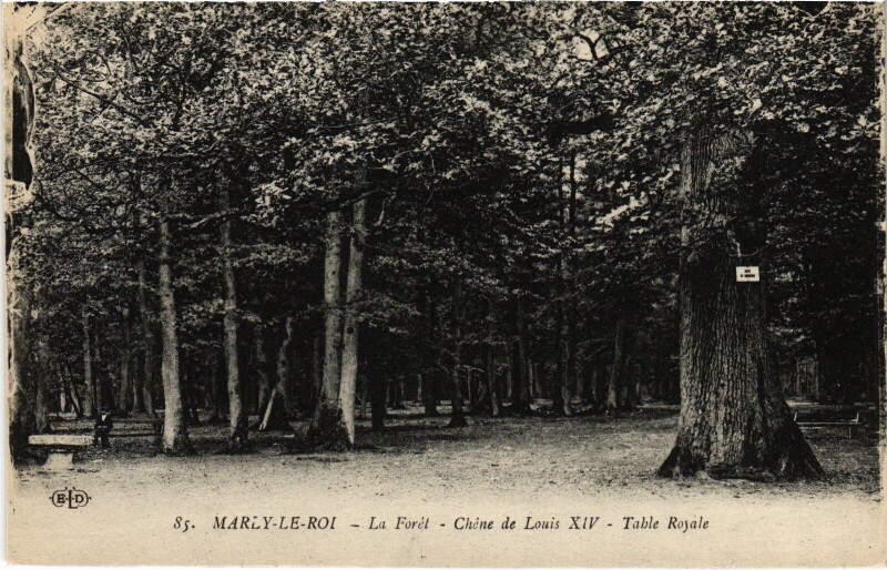 Carte postale ancienne Marly La Foret Table Royale à Bailly