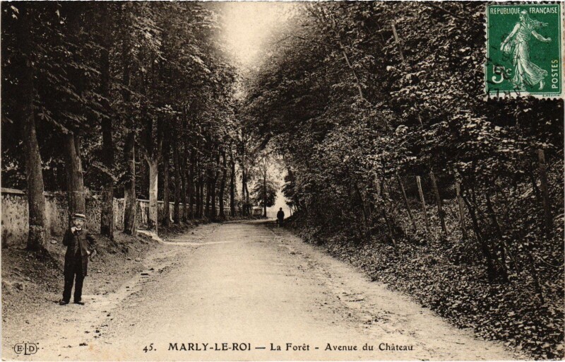 Carte postale ancienne Marly La Foret Avenue du Chateau