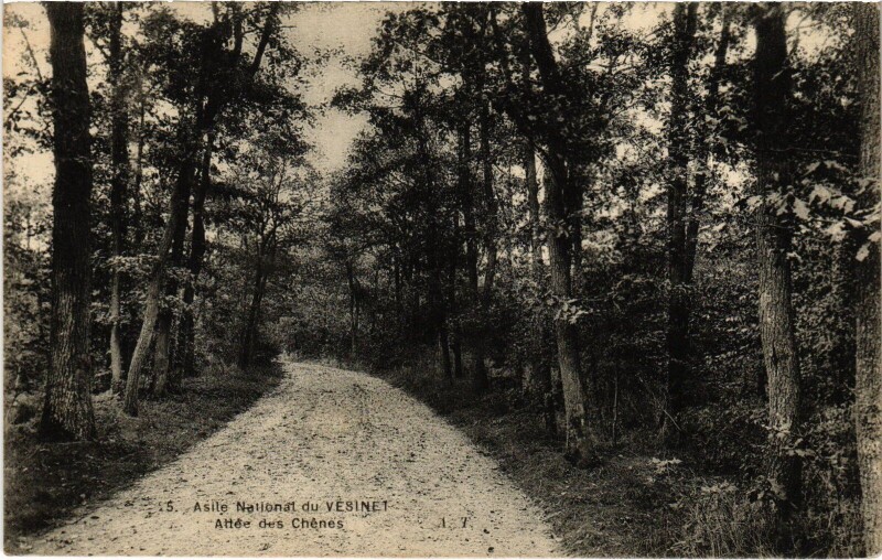 Carte postale ancienne Le Vesinet Asile National Allee des Chenes