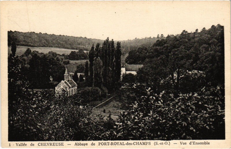 Carte postale ancienne Chevreuse Port Royal vue d'ensemble à Chevreuse