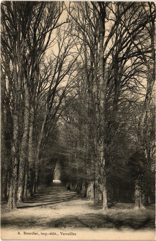 Carte postale ancienne Marly Avenue du Chateau