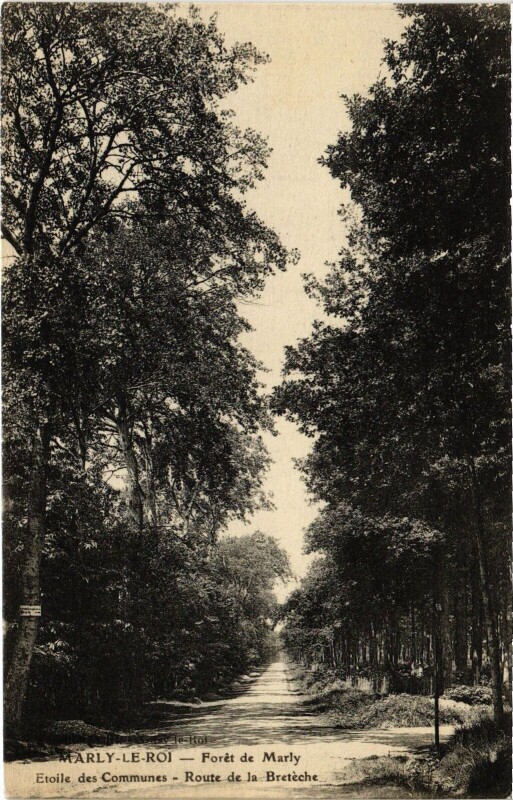 Carte postale ancienne Marly La Foret Etoile des Communes