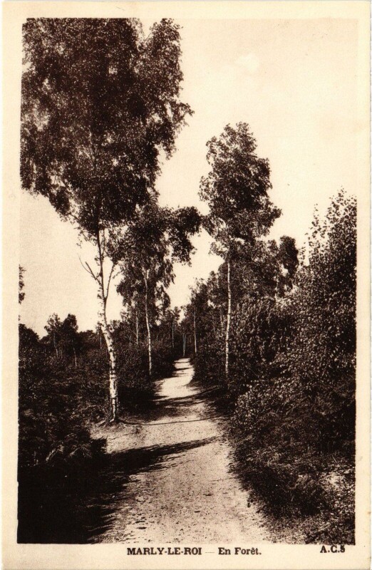 Carte postale ancienne Marly En Foret à Marly-le-Roi