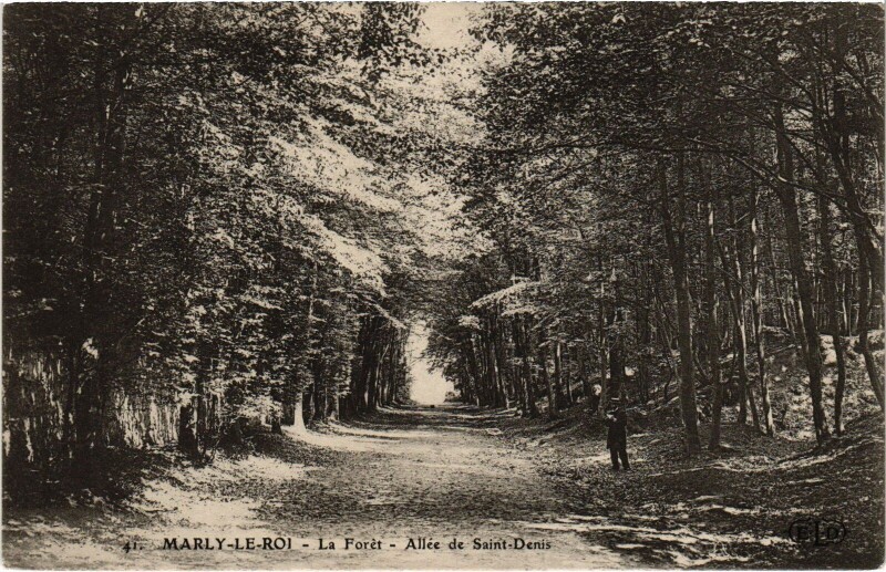Carte postale ancienne Marly La Foret Allee de Saint-Denis