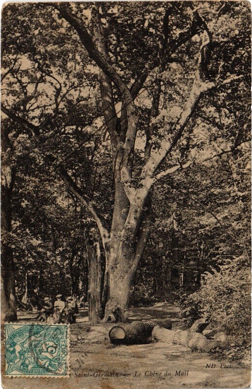 Carte postale ancienne St Germain en Laye Le Chene du Mail