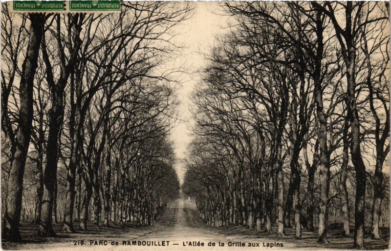 Carte postale ancienne Rambouillet Allee de la Grille aux Lapins à Rambouillet