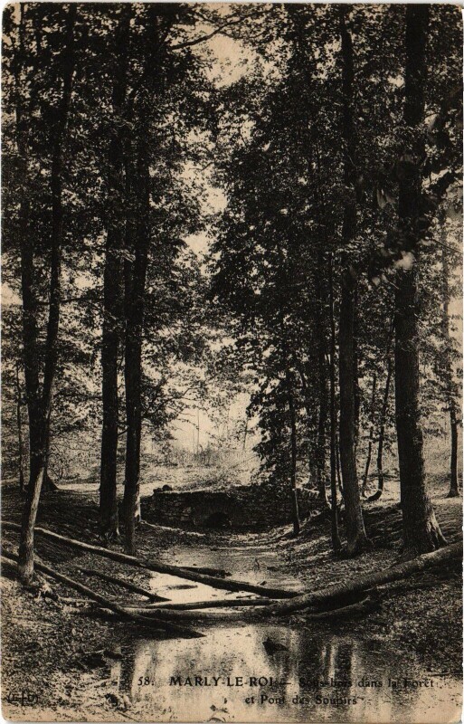 Carte postale ancienne Marly Sous bois dans la Foret et Pont des Soupirs