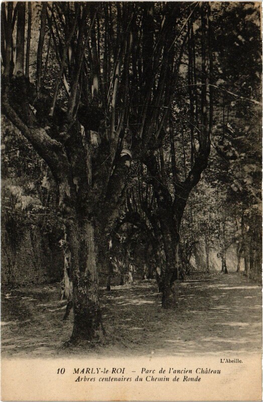 Carte postale ancienne Marly Parc de l'ancien Chateau