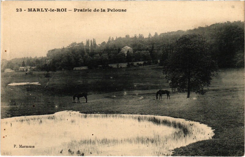 Carte postale ancienne Marly Prairie de la Pelouse