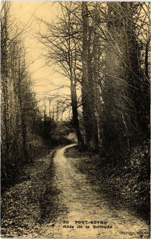Carte postale ancienne Chevreuse Port Royal Allee de la Solitude à Chevreuse
