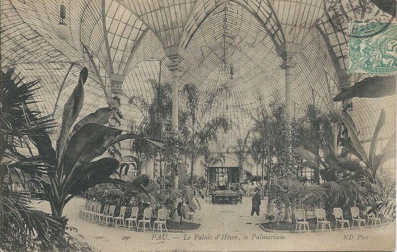 Carte postale ancienne Le Palais d'Hiver - Le Palmarium à Pau