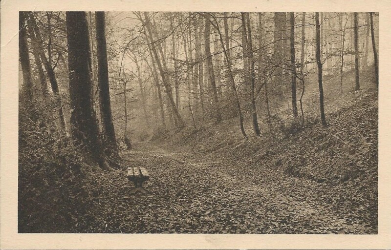 Carte postale ancienne Le Parc du Château à Pau