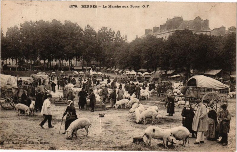 Carte postale ancienne Rennes - Le marché aux Porcs à Rennes