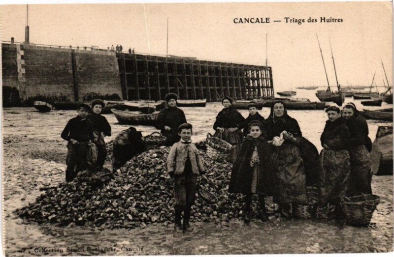 Carte postale ancienne Cancale - Triage des Huitres à Cancale