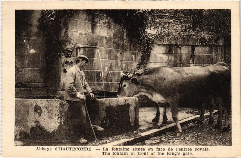 Carte postale ancienne Abbaye de Hautecombe La Fontaine