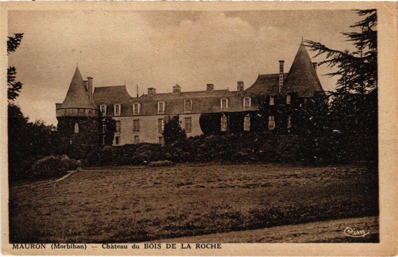 Carte postale ancienne Mauron Le Chateau du Bois de la Roche à Mauron