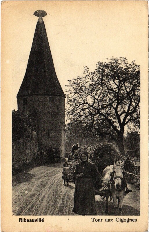 Carte postale ancienne Ribeauvillé Tour aux Cigognes à Ribeauvillé