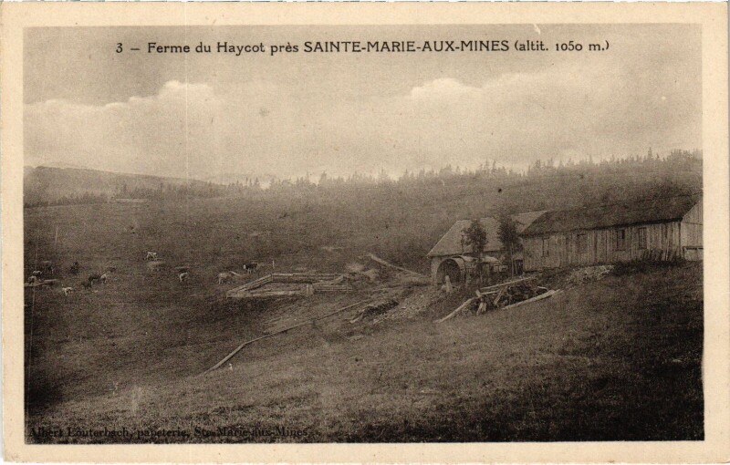 Carte postale ancienne Sainte-Marie-aux-Mines ferme du Haycot à Sainte-Marie-aux-Mines