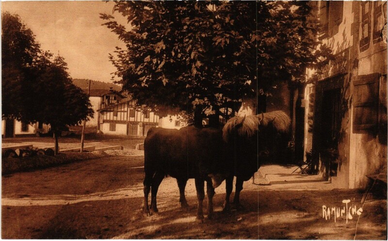 Carte postale ancienne Pays Basque Ainhoa à Ainhoa