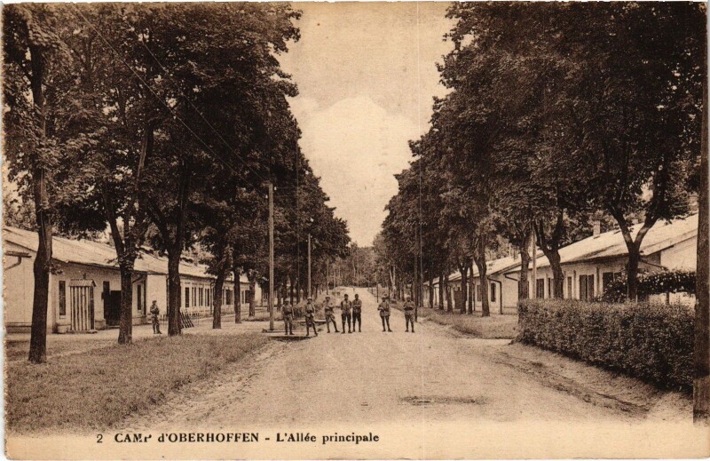 Carte postale ancienne Camp Oberhoffen Allée principale à Hoffen
