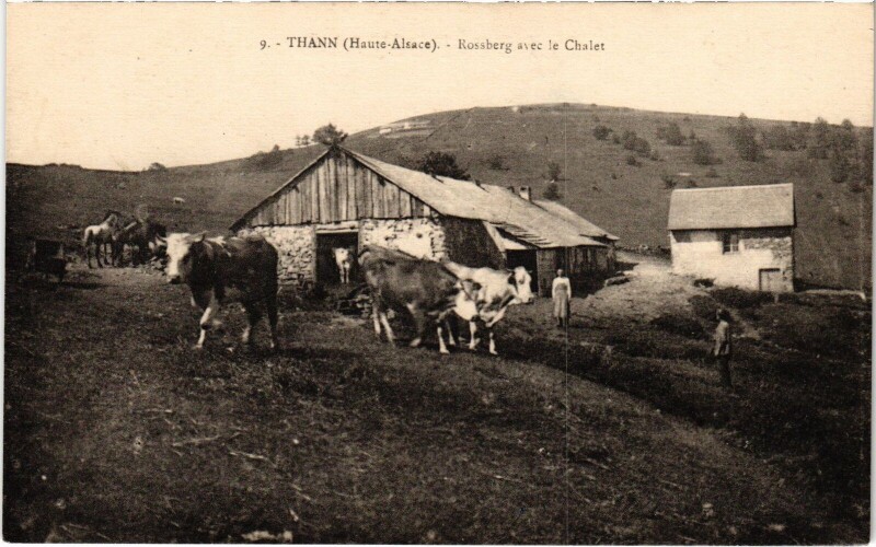Carte postale ancienne Alsace Thann Rossberg avec le Chalet à Thann